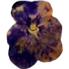 Emoji 032