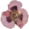 Эмодзи 037