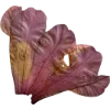 Эмодзи 038