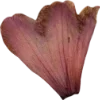 Эмодзи 040