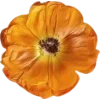 Emoji 044