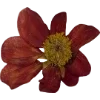 Эмодзи 045
