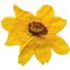 Emoji 046