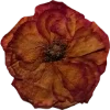 Emoji 047