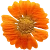 Emoji 048