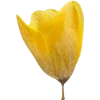 Emoji 051