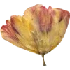 Emoji 052