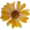 Emoji 056