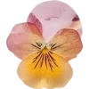 Emoji 058