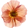 Emoji 059