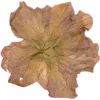 Эмодзи 064