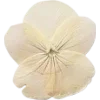 Emoji 066