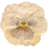 Эмодзи 068