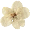Emoji 070