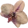 Emoji 074
