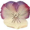 Emoji 080