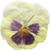 Эмодзи 083