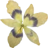 Эмодзи 084