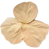 Emoji 086