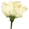 Emoji 087