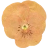 Emoji 088