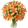 Emoji 004