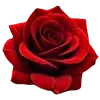 Emoji 012