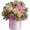 Emoji 052