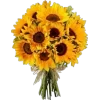 Emoji 053