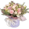 Emoji 055