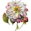 Emoji 004