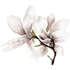 Emoji 005