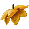 Emoji 006