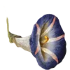 Emoji 008