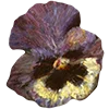 Emoji 014