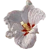 Эмодзи 020