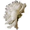 Emoji 021