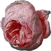 Emoji 024