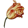 Emoji 029
