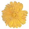 Эмодзи 036