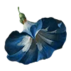 Emoji 039