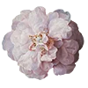 Emoji 044