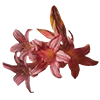 Эмодзи 047