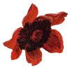 Emoji 050
