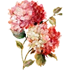 Эмодзи 064