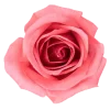 Emoji 001