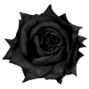Emoji 003