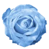 Emoji 004