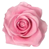 Emoji 005