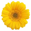 Emoji 006